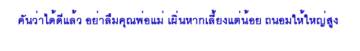 siamplan_ผญ๋า_19.png